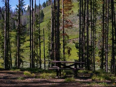 Camper submitted image from Bonanza CCC Group Campground - 3