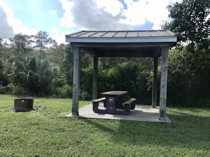 Camper submitted image from Midway Campground — Big Cypress National Preserve - 2