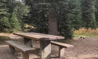 Camping near Upper Payette Lake Campground: Jeanette Campground, Warren, Idaho