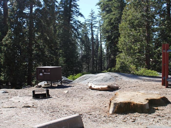 Camper submitted image from Azalea Campground — Kings Canyon National Park - 2
