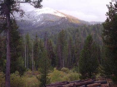 Camper submitted image from Steel Creek Group Campground - 1