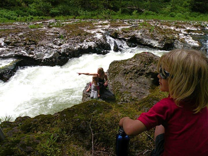 Camper submitted image from Tillamook State Forest Nehalem Falls Campground - 2