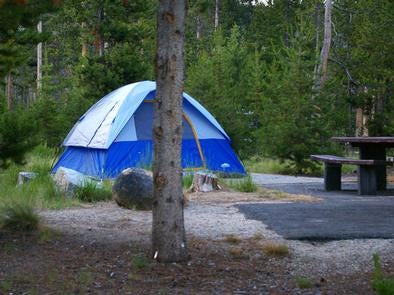 Camper submitted image from Glacier View Campground - 1