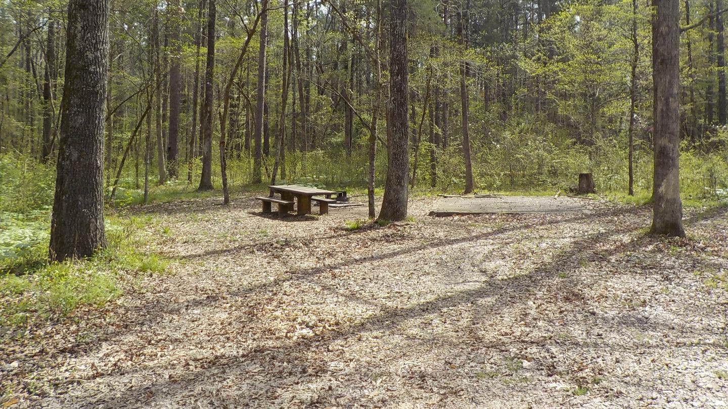 Camping near Shores Lake: Redding Campground, St. Paul, Arkansas