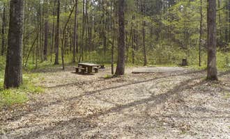 Camping near Turner Bend Outfitter: Redding Campground, St. Paul, Arkansas