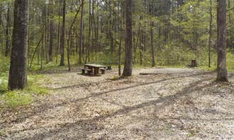 Camping near Mulberry Mountain Lodging & Events: Redding Campground, St. Paul, Arkansas