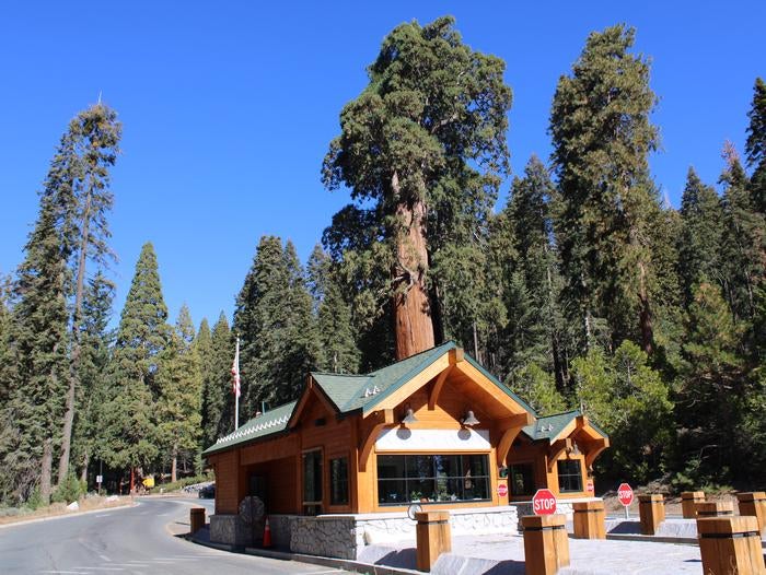 Camper submitted image from Azalea Campground — Kings Canyon National Park - 1