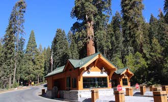 Camping near The Mountain Chapel Campground: Azalea Campground — Kings Canyon National Park, Hume, California