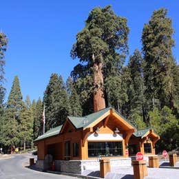 Public Campgrounds: Azalea Campground — Kings Canyon National Park