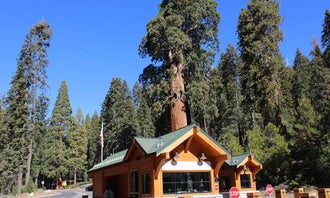 Camping near Sequoia National Forest Princess Campground: Azalea Campground — Kings Canyon National Park, Hume, California
