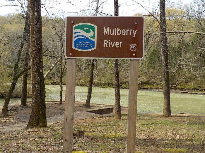 Camper-submitted photo at Redding Campground near St. Paul, AR