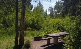 Camping near Wood River Campground: Easley Campground, Sawtooth National Forest, Idaho