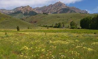 Camping near North Fork Campground - Sawtooth National Forest: Easley Campground, Ketchum, Idaho