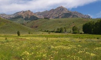 Camping near Carrie Creek Campground: Easley Campground, Ketchum, Idaho