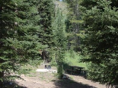 Camper submitted image from North Fork Campground - St. Charles Canyon - 4