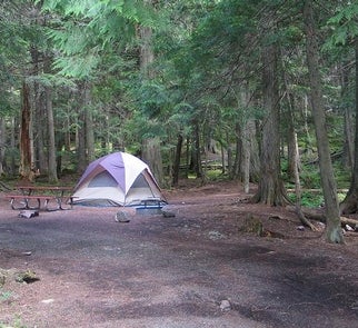 Camper-submitted photo from Avalanche Campground — Glacier National Park