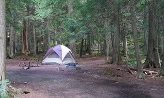 Camping near Reynolds Creek Wilderness Campsite — Glacier National Park: Avalanche Campground — Glacier National Park, Siyeh Bend, Montana