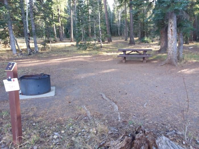 Camper submitted image from Brook Char Campground - 2