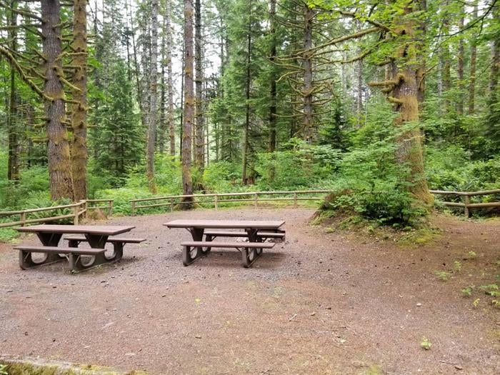 Camper submitted image from Alsea Falls Recreation Site (campground) - 2
