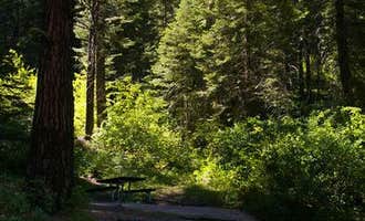Camping near Sagehen Creek: Swinging Bridge, Banks, Idaho