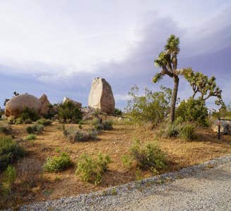 Camper-submitted photo from Ryan Campground — Joshua Tree National Park