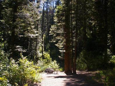 Camper submitted image from Swinging Bridge - 4