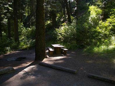 Camper submitted image from Swinging Bridge - 3