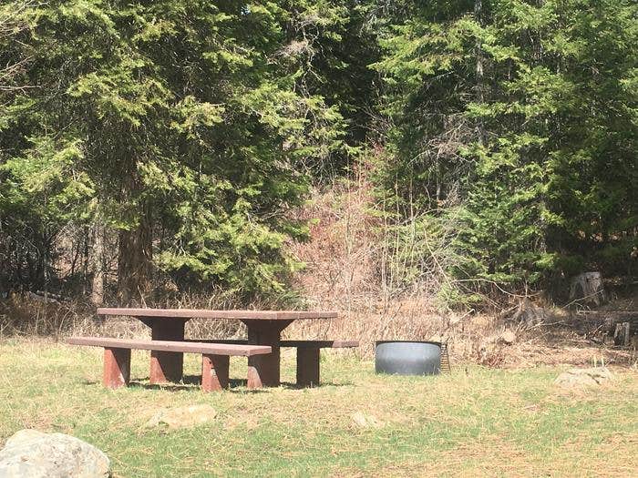 Camper submitted image from Cabin Creek - 2
