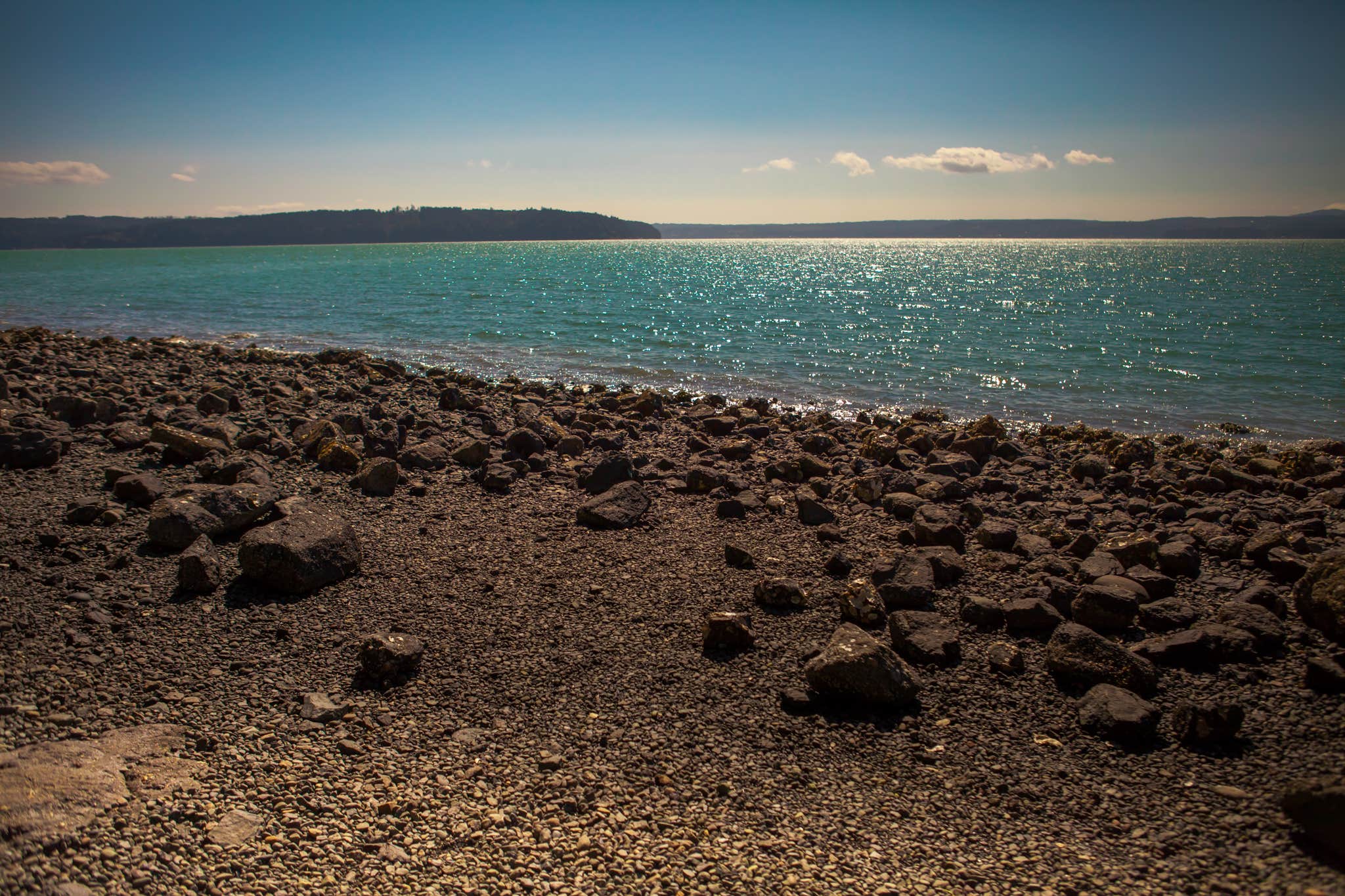 Camper submitted image from Seal Rock Campground - 5