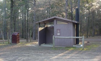 Camping near Cove Lake Complex: Sorghum Hollow Horse Camp Ozark NF, Havana, Arkansas