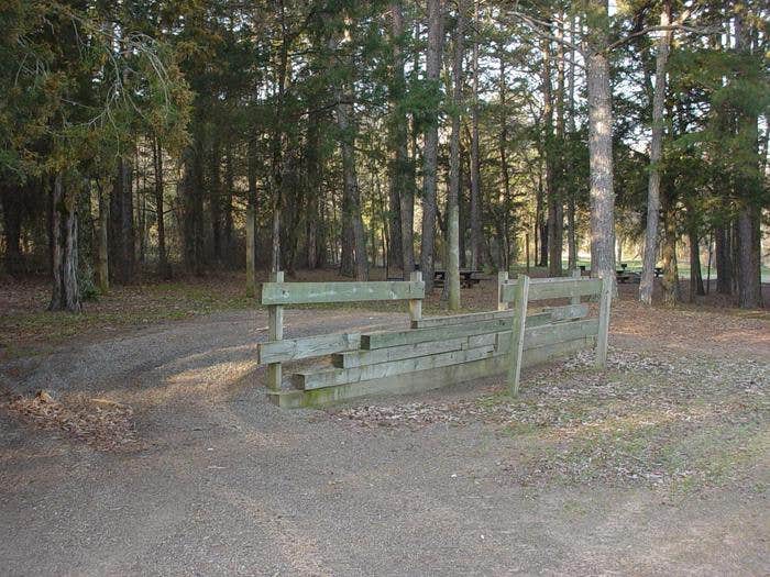 Camper submitted image from Sorghum Hollow Horse Camp Ozark NF - 2