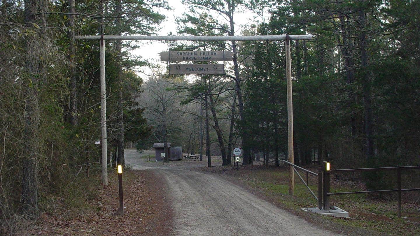 Camper-submitted photo at Sorghum Hollow Horse Camp Ozark NF near Russellville, AR