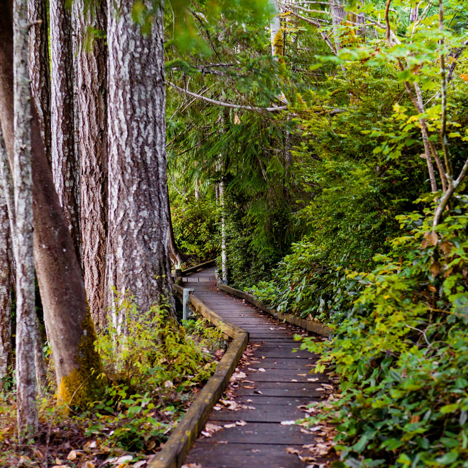 Seal Rock Campground Camping | The Dyrt