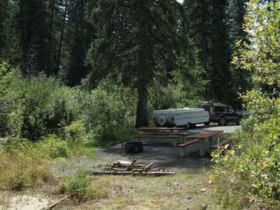 Camper submitted image from Evergreen Campground - 5