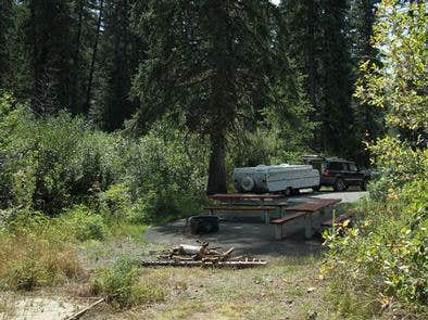 Camper submitted image from Evergreen Campground - 4