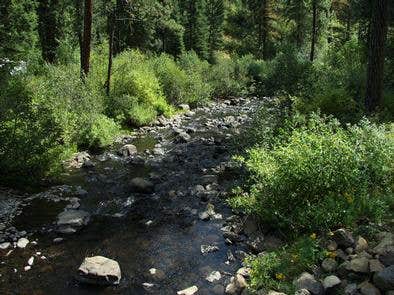 Camper submitted image from Evergreen Campground - 4