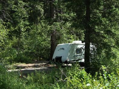 Camper submitted image from Evergreen Campground - 3