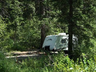 Camper submitted image from Evergreen Campground - 2