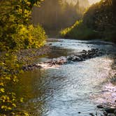 Review photo of Hamma Hamma Campground by Melissa  J., September 11, 2016