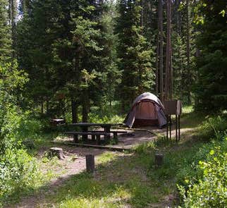 Camper-submitted photo from Headwaters Campground at Flagg Ranch — John D. Rockefeller, Jr., Memorial Parkway