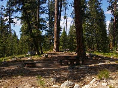 Camper submitted image from Boise National Forest Warm Lake Campground - 2