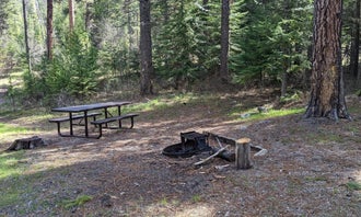 Camping near Buck Mountain: Poverty Flat, Yellow Pine, Idaho