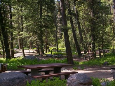 Camper submitted image from Boise National Forest Warm Lake Campground - 3
