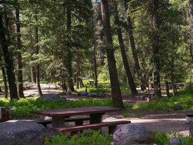 Camper submitted image from Boise National Forest Warm Lake Campground - 4