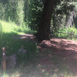 Public Campgrounds: Huckleberry Campground — Lake Cascade State Park