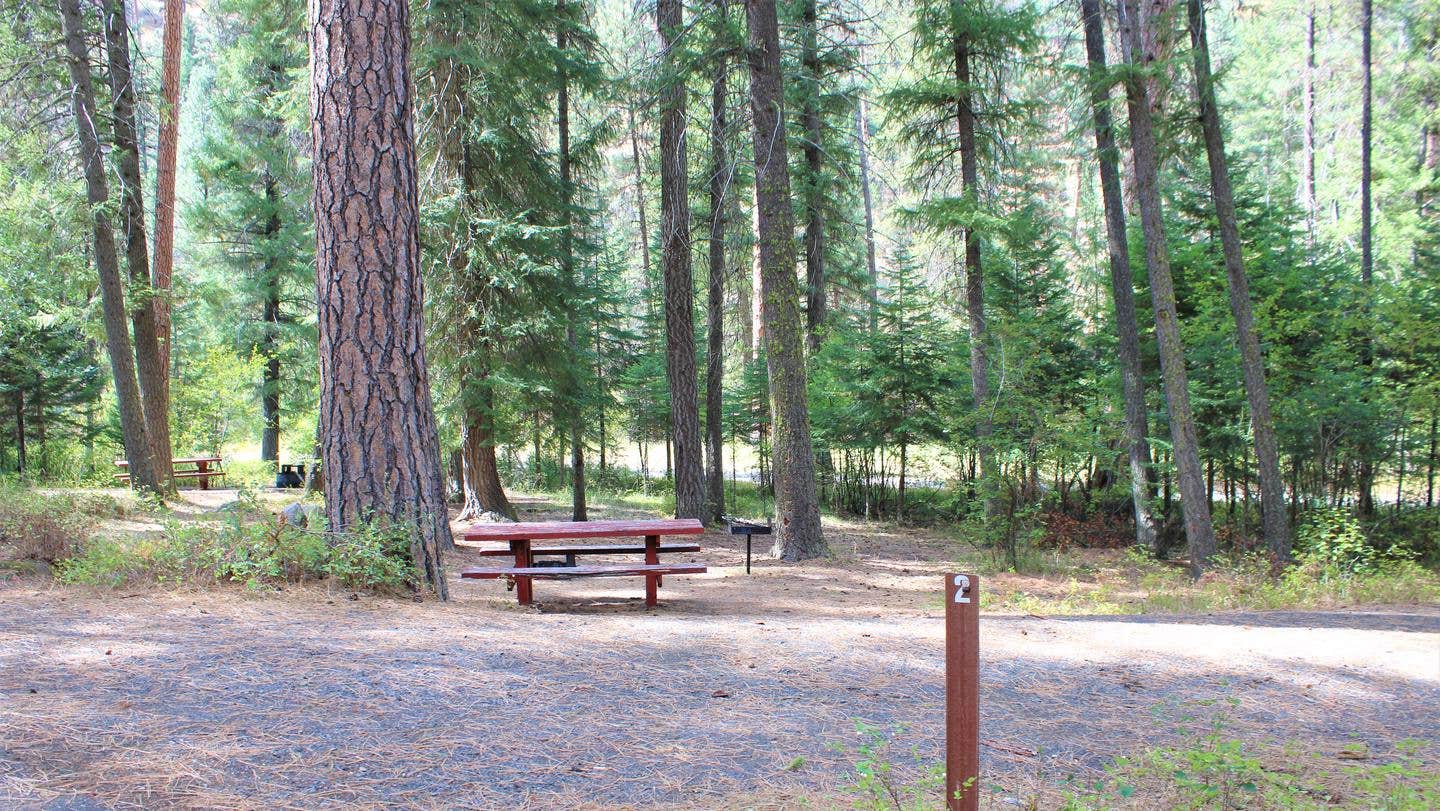 Camper submitted image from Buckhorn Bar Campground - 2