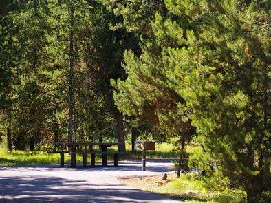 Idaho's Buffalo Campground: Where the Wild Things Are (and So Are You!)