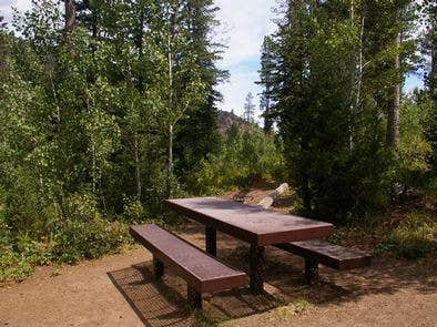 Porcupine (id) Camping | The Dyrt