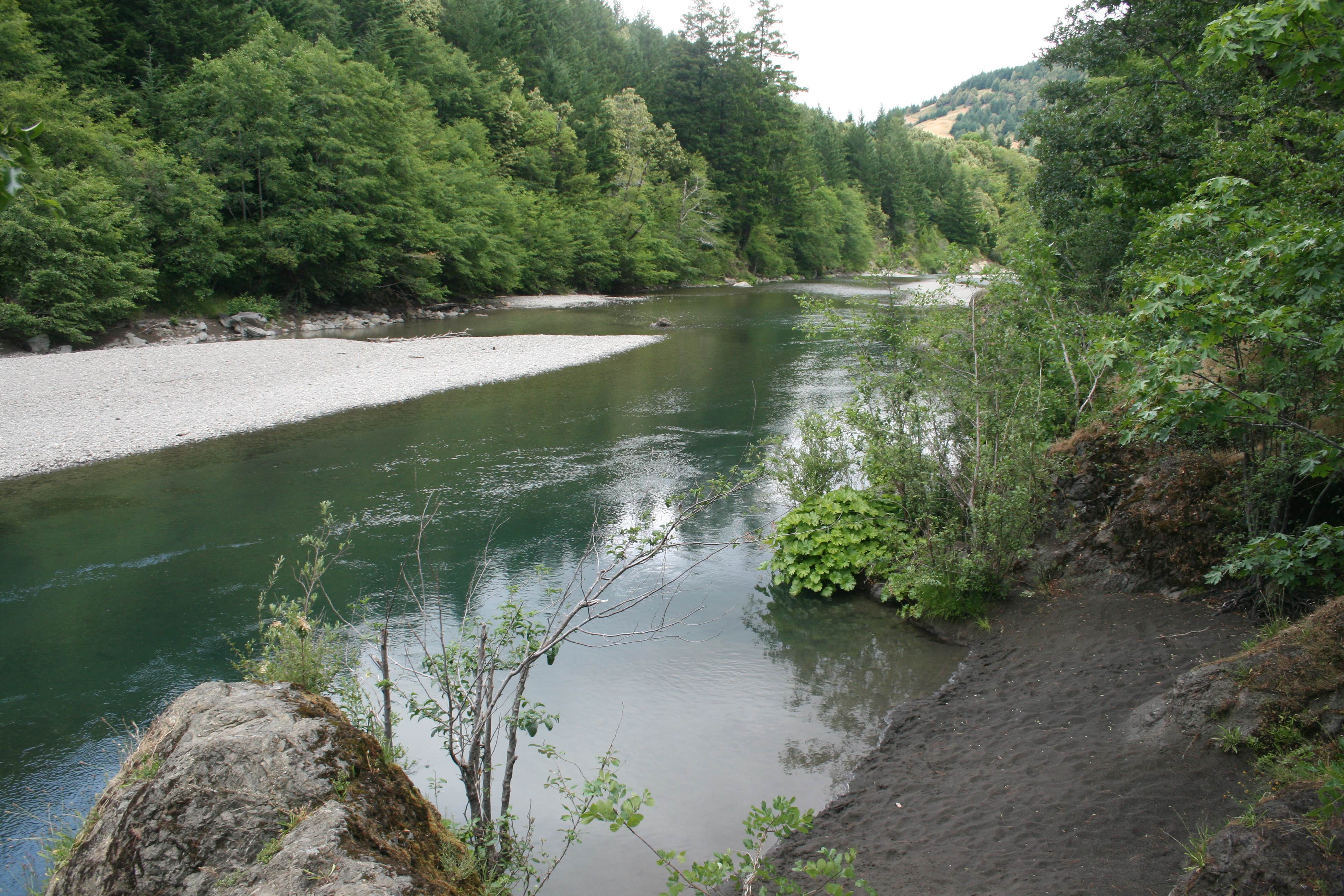 Camper-submitted photo at A.W. Way County Park near Ferndale, CA