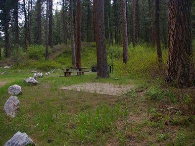 Camper submitted image from Dog Creek Campground - Idaho - 1